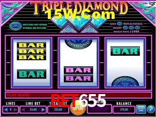 Sistemas de Segurança Bet655